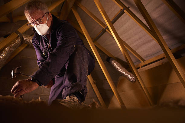 Best Geographic-Specific Insulation Services in Fruit Heights, UT
